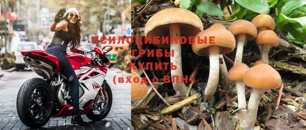 гидра Аркадак