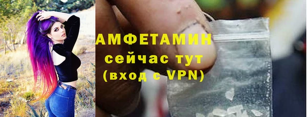 гидра Аркадак