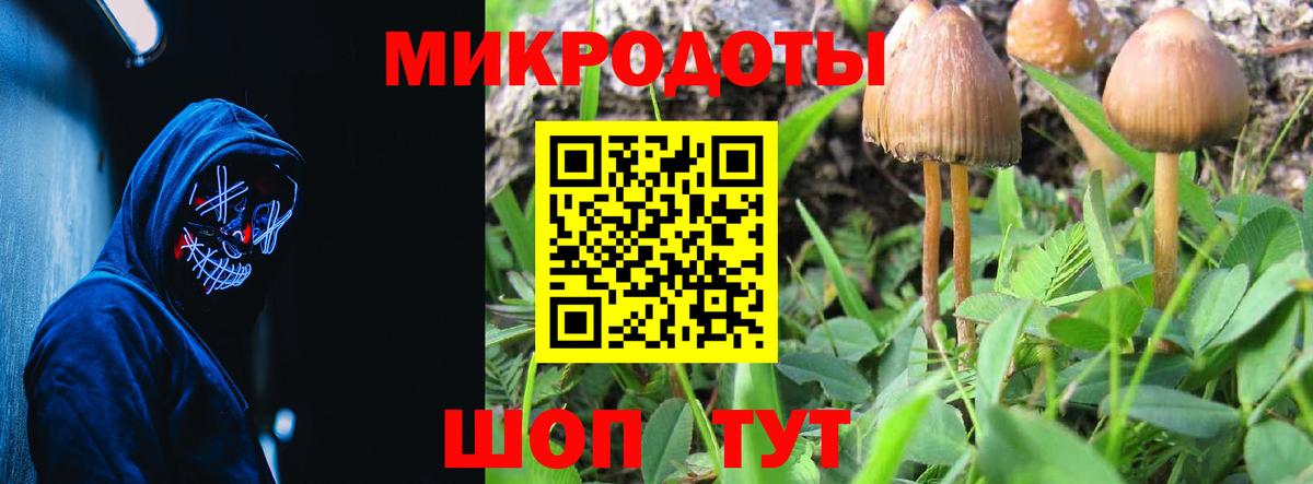 Галлюциногенные грибы прущие грибы  Вход с VPN  Выкса 